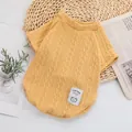 Yellow cable knit pet sweater with Lucky bear patch for small dogs and cats. - XS / Bright yellow
