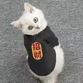 Schwarzer Katzenpullover mit Glück-Aufdruck für Kätzchen und Welpen, Neujahrsoutfit - XS (ca. 1 Catty) / Herbst/Winter Hoodie - Glücksschwarz