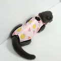 Tuta di recupero per gatti con stampa frutta, gilet post-operatorio traspirante rosa - Ananas Limone Anguria
