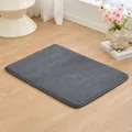 Tapis antidérapant gris foncé pour animaux de compagnie avec texture mesh respirante - Marron