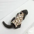 Tuta di recupero per gatti con stampa leopardata dopo sterilizzazione, gilet anti-leccamento - Taglia S / Motivo Mucca Caffè