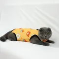 Tuta di recupero per gatti arancione con cartoni animati per post-operatorio gilet - Taglia S / Orso Giallo