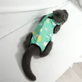 Tuta di recupero per gatti verde menta con motivi a cartoni animati post-operatorio - Anatra Verde