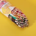 High-quality set of 48 vibrant colored pencils in a transparent plastic storage tube - 48 Colors (160mm Length)