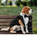 Eleganter schwarz-weißer Hunde-Tuxedo Hochzeitsanzug mit Fliege für große Hunderassen. - M / Weste Und Bandana Set / Schwarz