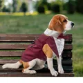 Eleganter weinroter Haustier Hochzeitsanzug für große Hunde mit weißem Kragen - S / Weste Und Bandana Set / Burgunderrot