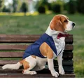 Formelles Hunde-Tuxedo-Halstuch mit kastanienbrauner Fliege und blauer Hochzeitsweste - S / Weste Und Bandana Set / Marineblau