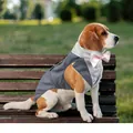 Grauer Hunde-Tuxedo mit rosa Fliege, festlicher Anzug für mittlere und große Hunde - S / Weste Und Bandana Set / Grau