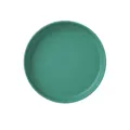 Minimalist circular teal plastic snack plate for bone disposal or appetizers - Round Plate / Green