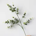 Levensechte kunstmatige eucalyptus geldblad zijden tak voor huis- en trouwdecoratie - Groen
