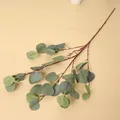 Close-up detail van kunstmatige eucalyptustak met realistische groene appelbladeren - Groen