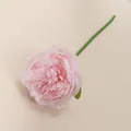 Primer plano de una peonia artificial rosa realista con pétalos en capas sobre fondo neutro. - Rosa
