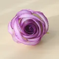 Primer plano de una cabeza de rosa de seda artificial púrpura con bordes de pétalos realistas. - Púrpura