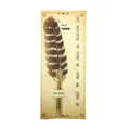 Vintage natural feather dip pen calligraphy set with five replacement metal nibs - Flower Turkey Texture (CA093019T) / 0.5mm Nib