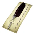 Elegante juego de pluma de ave color granate con mango plateado vintage y 5 plumillas - Juego de Pluma Burdeos (1 Pluma + 5 Plumillas)