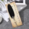 Juego de pluma de inmersión de pavo negra vintage con 5 puntas intercambiables en tarjeta - Negro (CA161001) / 1 Pluma + 5 Plumines de Repuesto