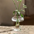 Gedetailleerde close-up van een glazen paddenstoelvaas met een frisgroene plantentak. - Smalhals Glad Verhoogde Paddenstoel