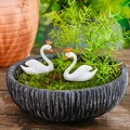 Paire de petites figurines de cygne blanc avec couronnes dans un paysage de mousse - Ensemble de 2 Pièces / Blanc
