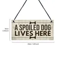 Detailed dimension view of the wooden pet dog hanging door sign showing size 20x10cm - Beige Bone Slogan Style (6015108669109)