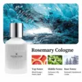 Rosmarin-Cologne Auto-Aromatherapie in einer stilvollen weißen Glasflasche mit Duftnoten - Rosmarin Kölnisch Wasser / Mattweiß