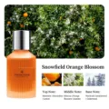 Luxuriöses Orangenblüten-Autoparfüm mit erfrischenden Zitrus- und Jasminduftnoten - Schnee Neroli / Mattiertes Orange
