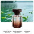 110 ml Auto-Parfüm-Diffusor mit Holzmaserungskappe und Teeduftnoten. - Westsee Tee Regen