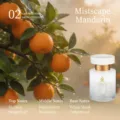 Auto-Aromatherapie Nebel-Zitrus-Duft mit Noten von sizilianischer Orange und Minze - Nebel Zitrus