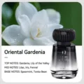 Premium Serenity car perfume diffuser bottle with oriental white gardenia scent notes - White Gardenia