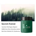 Premium Secret Forest scented car solid balm fragrance in elegant green grooved jar - Secret Realm Forest