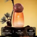 Luxus Auto Aromatherapie Diffusor in orangefarbener Flasche mit feinen Teenoten - Jade-Drachen-Tee
