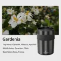 Premium eleganter schwarzer Auto-Lufterfrischer mit Gardenien-Duftnoten-Balsam - Gardenie Duft / Schwarz