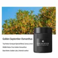 Elegant black car solid fragrance balm with refreshing Golden Osmanthus floral notes - Golden Osmanthus