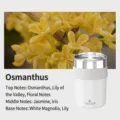 Weißes festes Auto-Aroma-Balsam-Lufterfrischer mit Duftprofil von Osmanthus - Osmanthus / Weiß