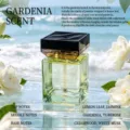 Automatic aroma diffuser refill bottle with gardenia scent in clear green square glass - Gardenia / 500ml