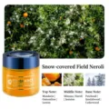 Premium solid car fragrance balm in Snowy Orange Blossom scent for long-lasting freshness - Snow Neroli