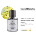 Premium pear wood and osmanthus car fragrance in a stylish minimalist 160ml glass bottle variant - Fragrans