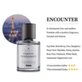 Elegant 160ml glass car and home fragrance bottle with romantic Parisian night theme - Encounter