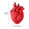 Florero creativo con forma de corazón anatómico rojo para hidroponía y decoración hogar - Rojo