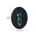 Vintage style 3D beetle resin relief wall hanging for home decoration, 20x15cm size - Rhinoceros Beetle (Oval) / Rainbow