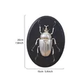 Vintage silver beetle 3D relief wall decor, 20x15cm resin insect specimen ornament - Golden Beetle (Oval) / Silver