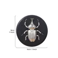 Silver beetle relief wall sculpture on black 18cm base, vintage resin insect decor - Unicorn Beetle (Round) / Silver