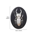 Vintage silver 3D beetle relief wall hanging on black oval base, 20x15cm home decor. - Rhinoceros Beetle (Oval) / Silver