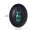 Vintage 3D metallic green beetle resin wall relief hanging decor 22cm x 17cm size - Leaf Beetle (Double Circle) / Rainbow
