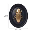 Vintage gold beetle resin wall relief decor with black oval frame measuring 17x22cm - Starry Sky Beetle (Double Circle) / Gold