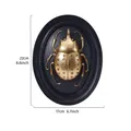 Vintage gold beetle resin wall relief decor, insect wall hanging, 22x17cm dimensions - Ladybug (Double Circle) / Gold