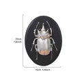 Vintage silver beetle relief wall decor on black oval base, dimensions 20x15 cm - Elephant Weevil (Oval) / Silver