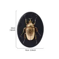 Vintage golden resin beetle wall relief decoration 15x20cm - Golden Beetle (Oval) / Gold