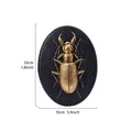 Vintage 3D gold beetle relief resin wall hanging decoration shown with dimensions - Ground Beetle (Oval) / Gold