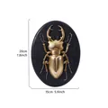 Vintage golden resin beetle wall hanging relief decor, dimensions 20cm x 15cm size - Rhinoceros Beetle (Oval) / Gold