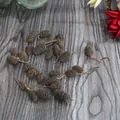 Natural small pine cones scattered on grey wood surface for DIY crafts and home decor. - Salix